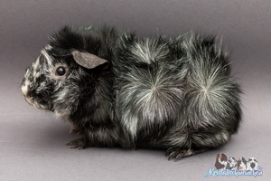 KritzelA (1) [300x200]