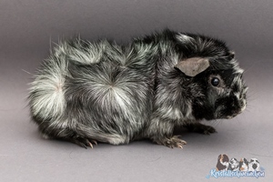 KritzelA (2) [300x200]